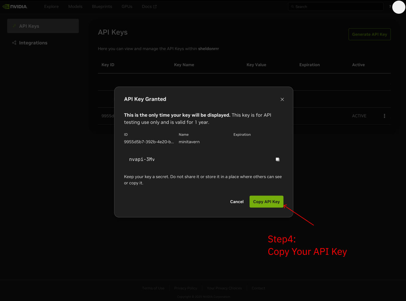 Copy API Key